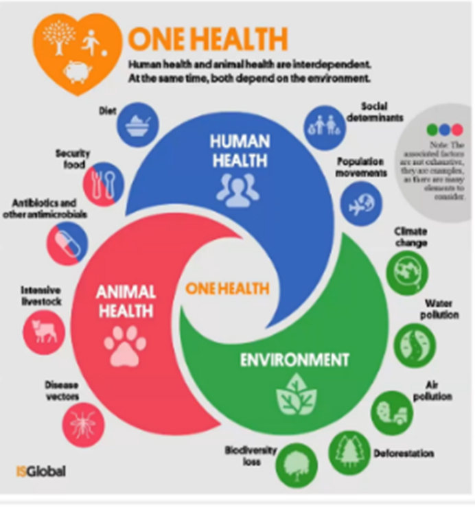 A One Health Approach to End Neglected Tropical Diseases ...